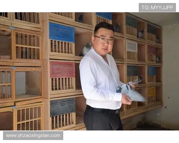 对话杨军：回顾王者荣耀职业生涯与未来发展展望