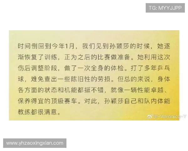 张敏的乒乓球人生深度对话与成长历程的启示与反思